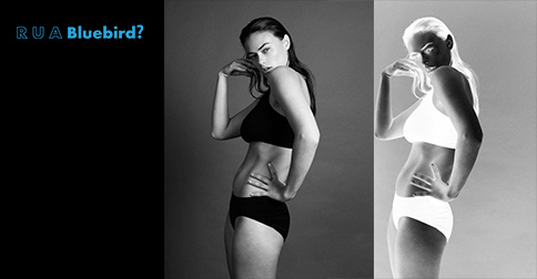 Are C.K. Women Your Thing?